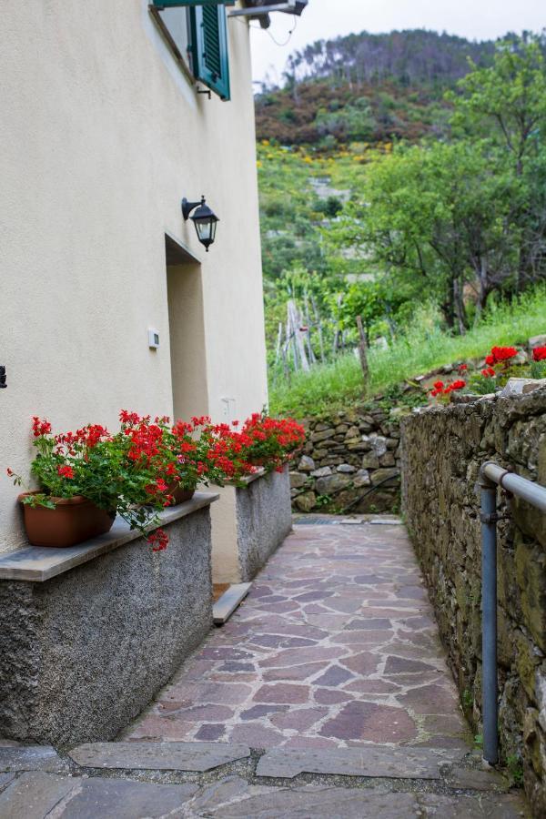 Casa Vacanze Tra Le Mura Levanto Eksteriør billede
