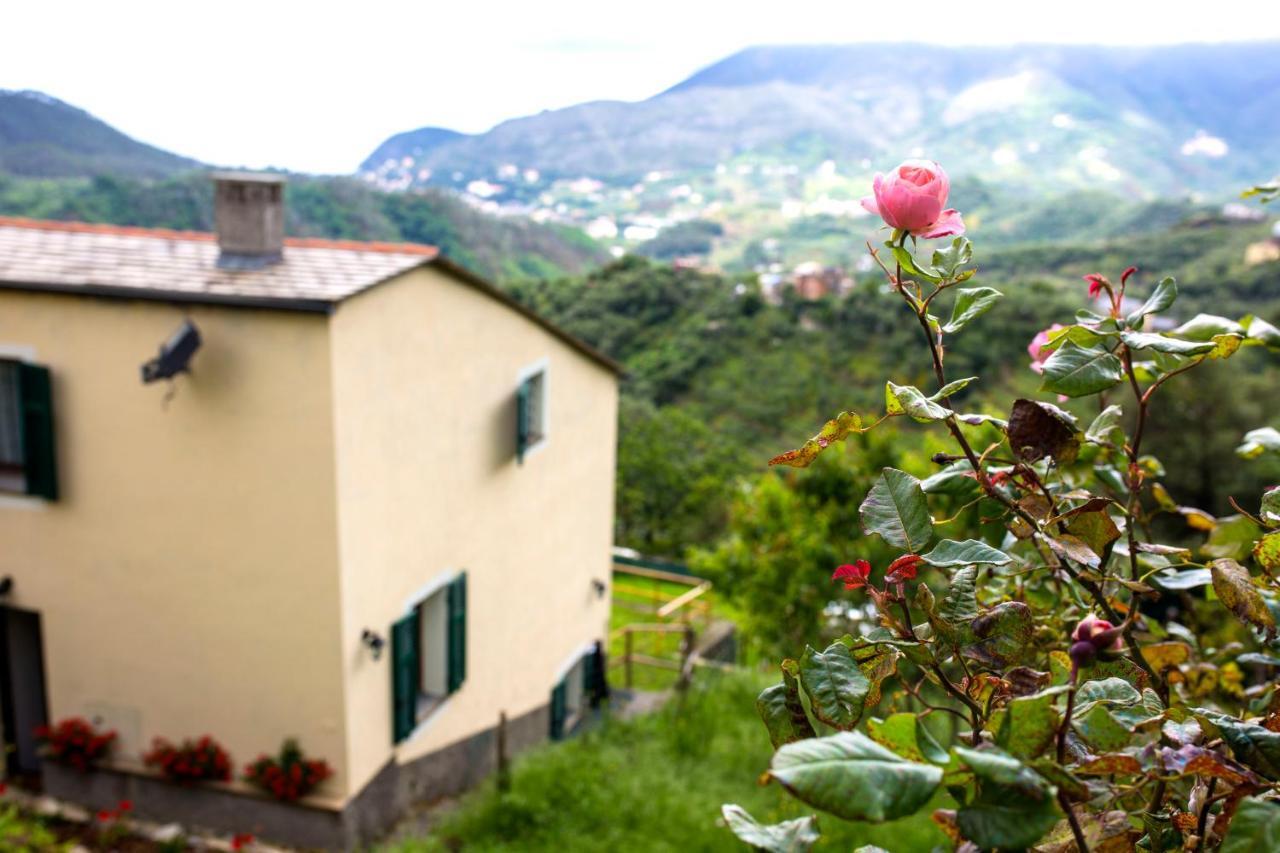 Casa Vacanze Tra Le Mura Levanto Eksteriør billede